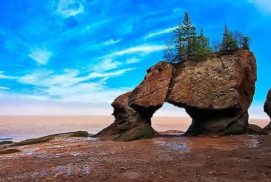 Fundy bay